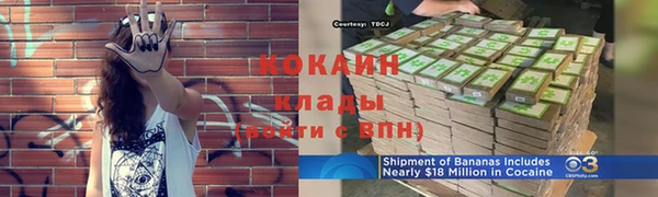 прущие грибы Навашино