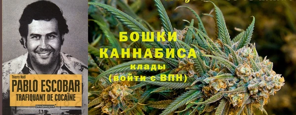 прущие грибы Навашино