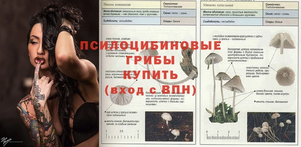 амф Михайлов