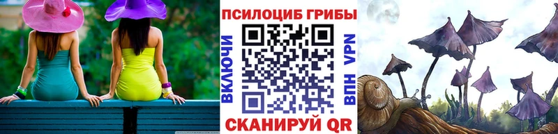 Галлюциногенные грибы ЛСД  Новотроицк 