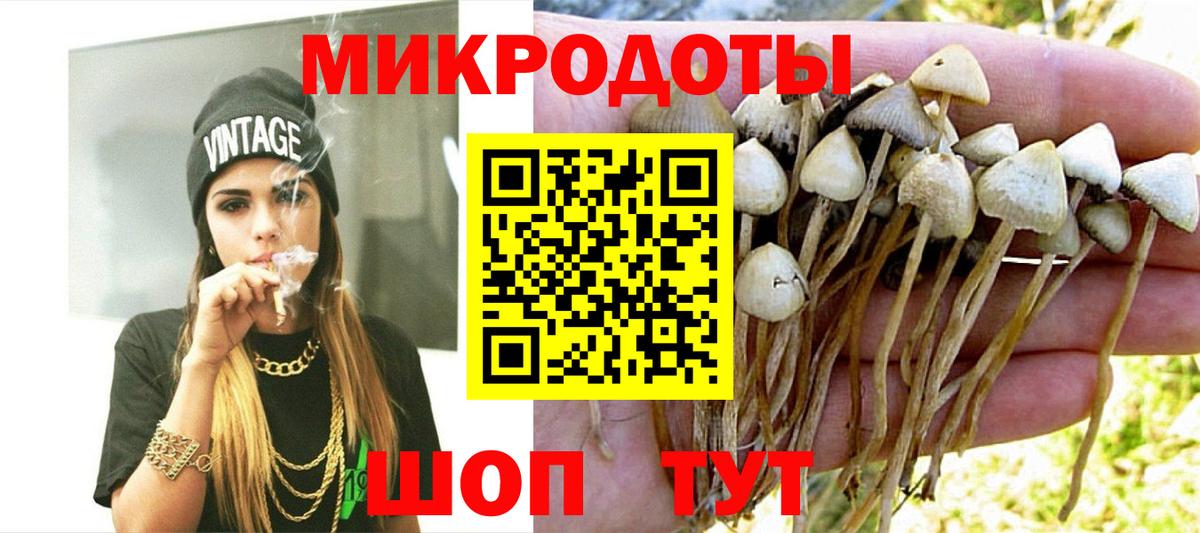 Псилоцибиновые грибы Psilocybine cubensis  Вход с VPN  Псилоцибиновые грибы мицелий  Новотроицк 