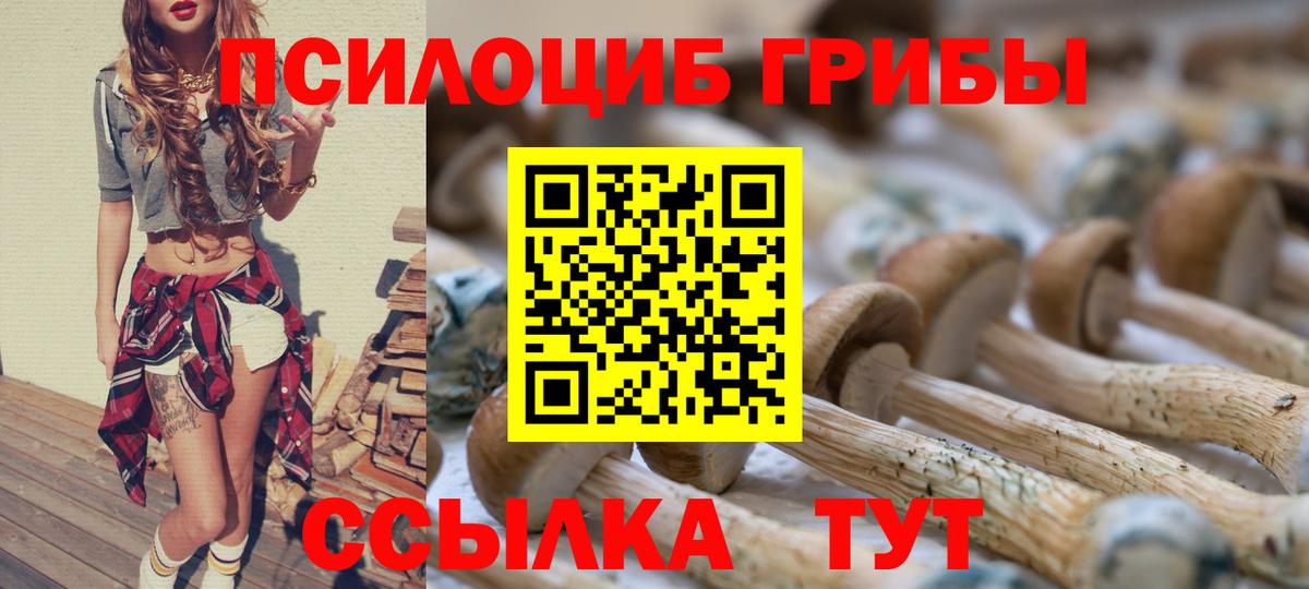 Псилоцибиновые грибы Psilocybine cubensis Новотроицк