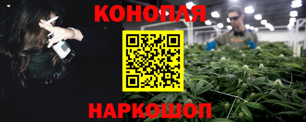 Шишки марихуана марихуана Новотроицк